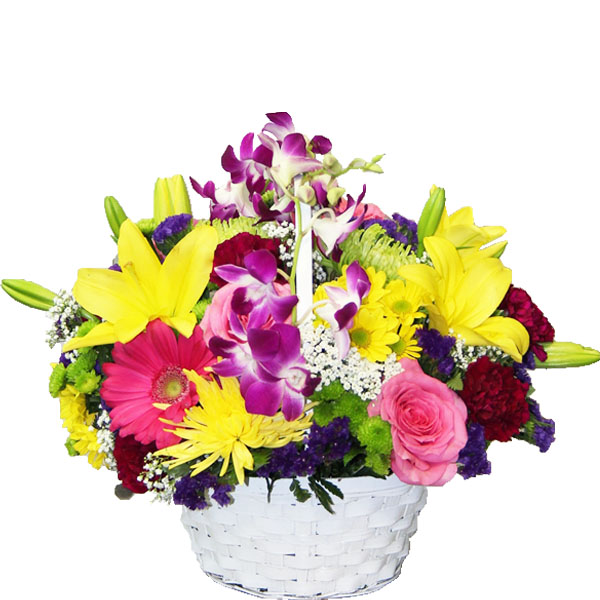 Basket of Joy