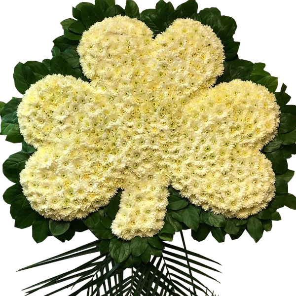 White Shamrock