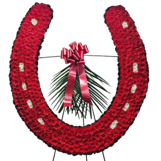 Red Horseshoe Top
