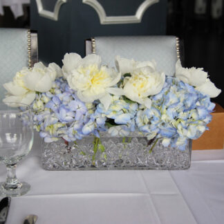 Peony Splendor