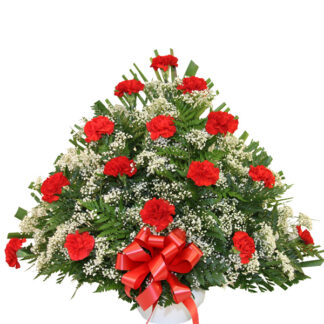 Red Carnation Fan