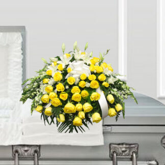 Glorious Radiance Casket