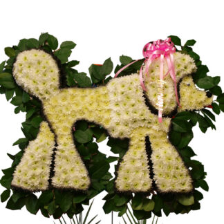 Poodle