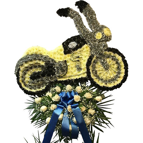 Harley Motorcycle