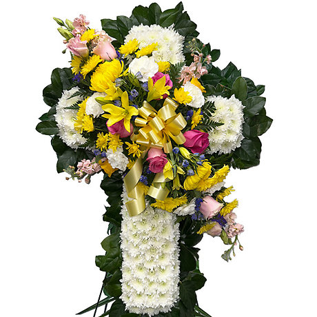 Primavera Cross