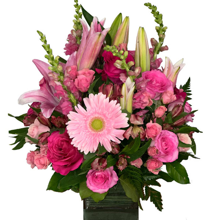 Pink Powerhouse