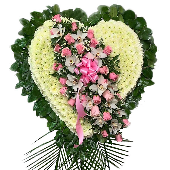 Delicate Heart